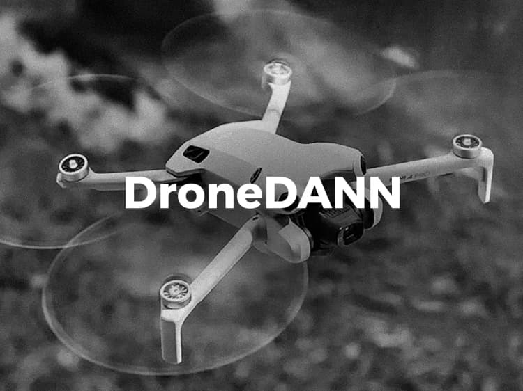 DroneDANN
